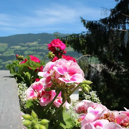 Hillside Pircher * Fügen