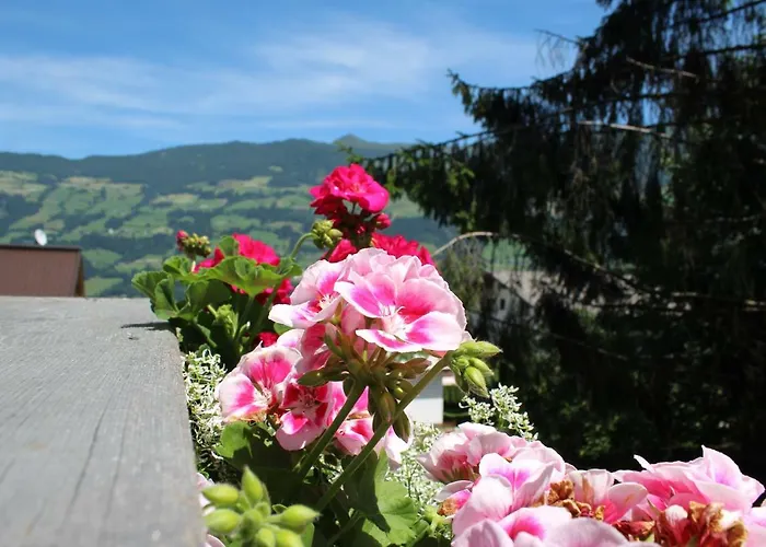 Hillside Pircher * فغن